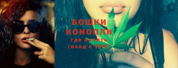 ПСИЛОЦИБИНОВЫЕ ГРИБЫ Арсеньев