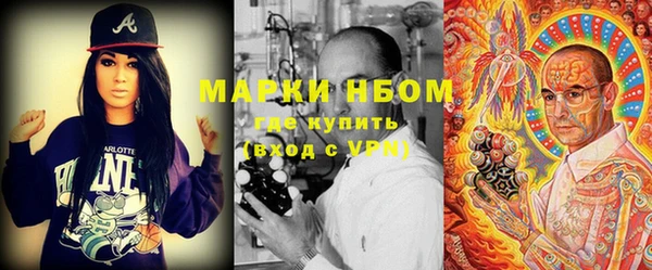 ПСИЛОЦИБИНОВЫЕ ГРИБЫ Арсеньев