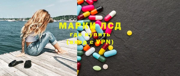 ПСИЛОЦИБИНОВЫЕ ГРИБЫ Арсеньев