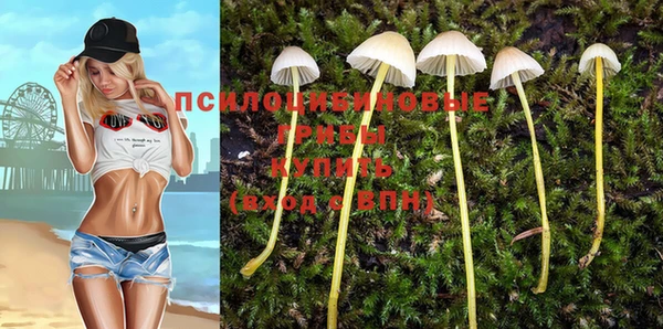 СК Аркадак
