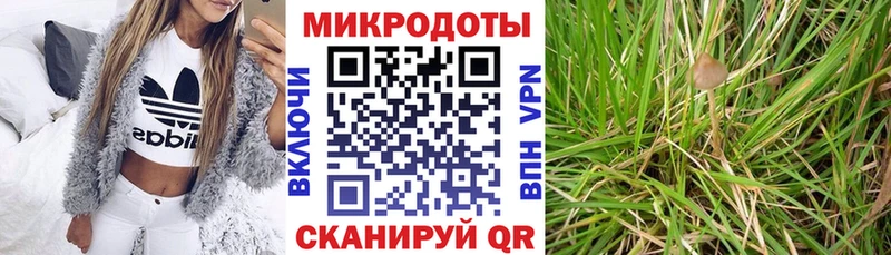 Галлюциногенные грибы мухоморы  Минусинск 