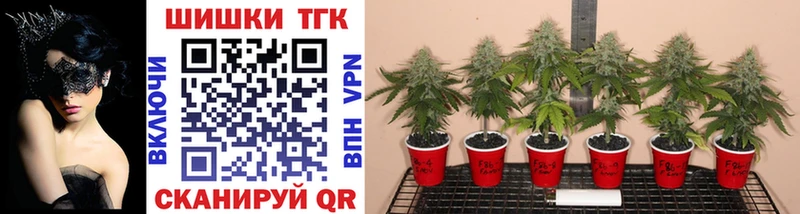Каннабис White Widow  где купить наркоту  Минусинск 